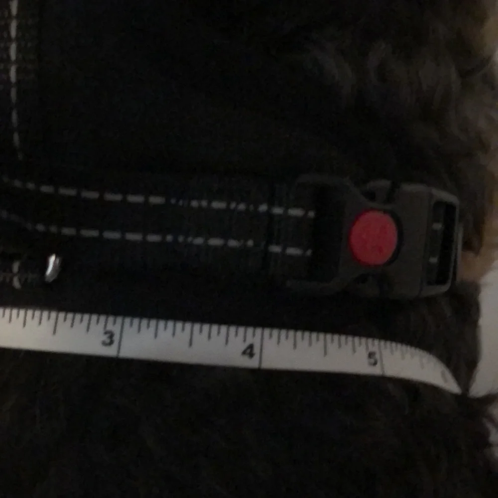 BOGO Dog Harness Black